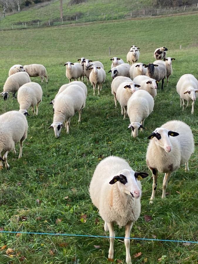 Gite Atypique Borrèze Kültér fotó