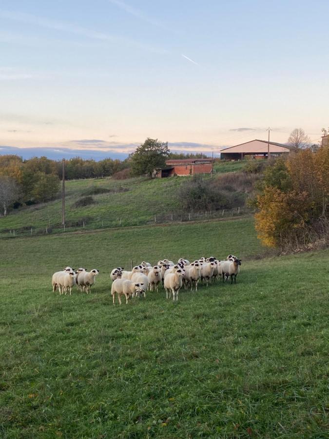 Gite Atypique Borrèze Kültér fotó